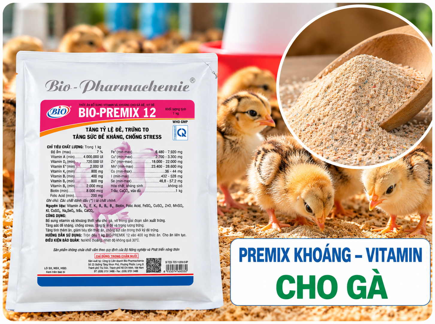 Premix khoáng – vitamin cho gà